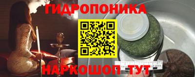 jwh Нальчик