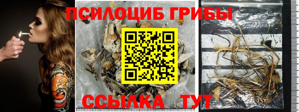Советский  Псилоцибиновые грибы мухоморы  Вход с VPN 