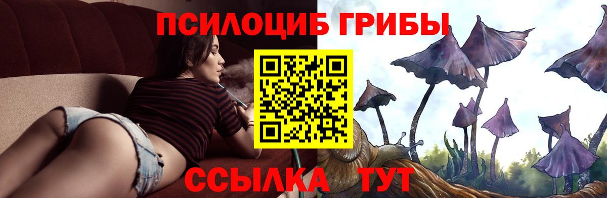 Псилоцибиновые грибы ЛСД Советский